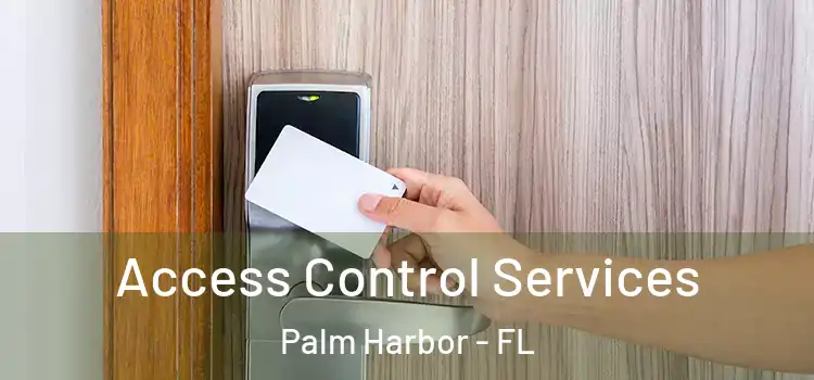 Access Control Services Palm Harbor - FL