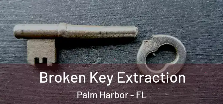 Broken Key Extraction Palm Harbor - FL