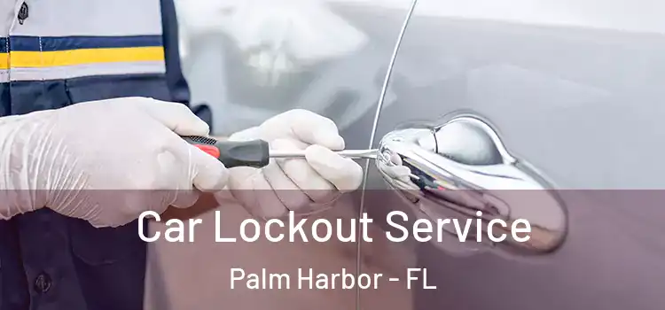Car Lockout Service Palm Harbor - FL