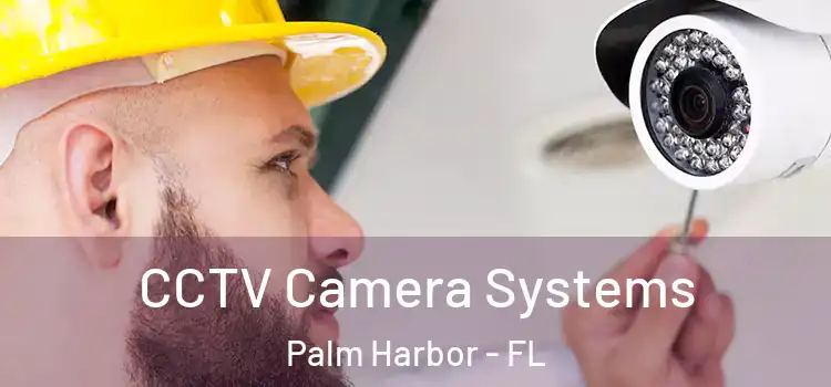 CCTV Camera Systems Palm Harbor - FL