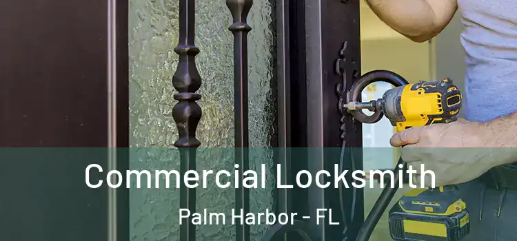 Commercial Locksmith Palm Harbor - FL