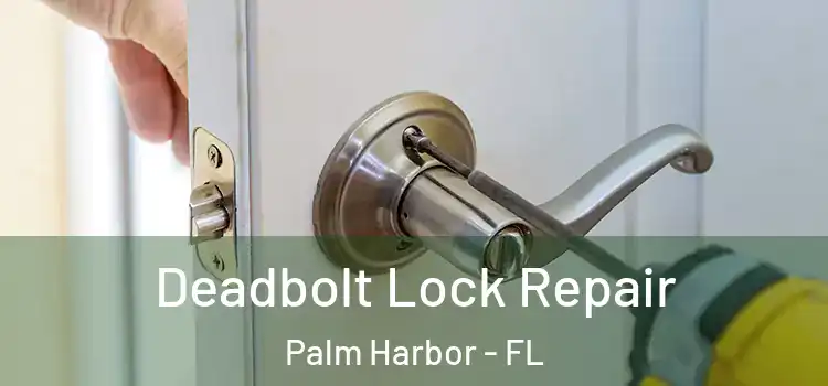 Deadbolt Lock Repair Palm Harbor - FL
