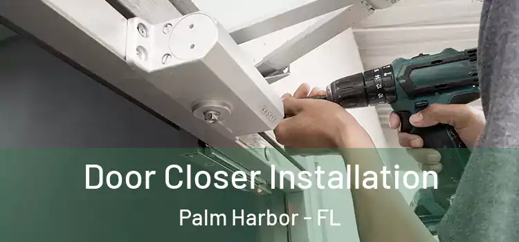 Door Closer Installation Palm Harbor - FL