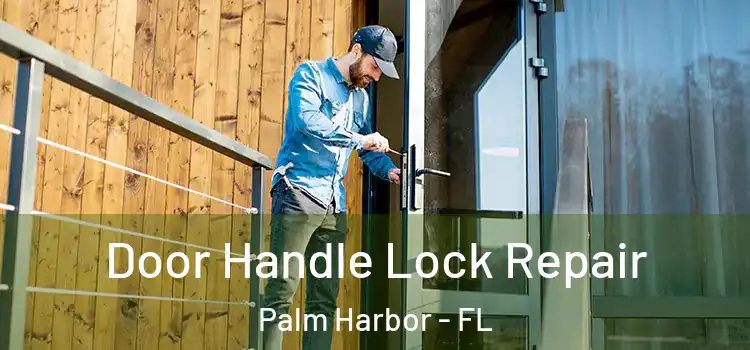 Door Handle Lock Repair Palm Harbor - FL
