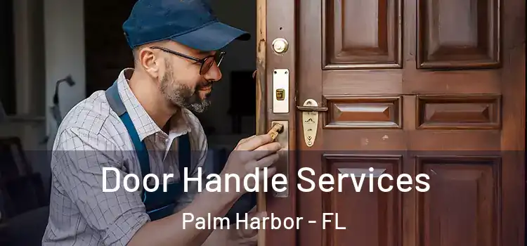 Door Handle Services Palm Harbor - FL
