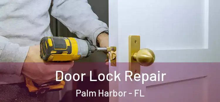 Door Lock Repair Palm Harbor - FL