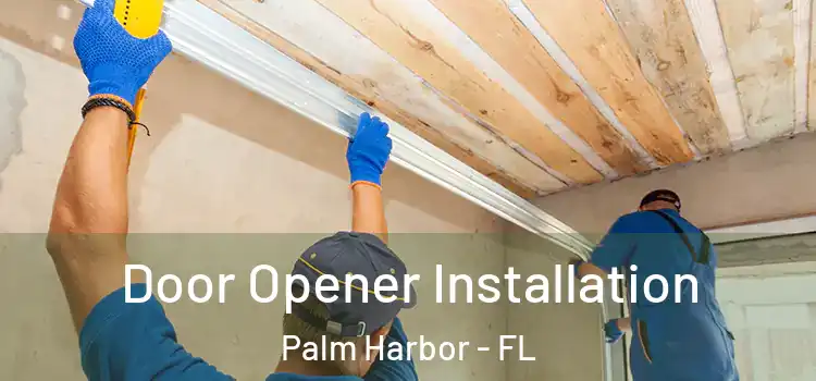 Door Opener Installation Palm Harbor - FL