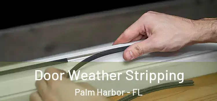 Door Weather Stripping Palm Harbor - FL