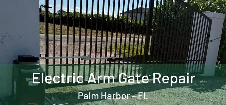 Electric Arm Gate Repair Palm Harbor - FL