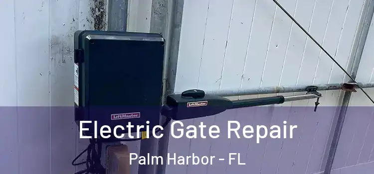 Electric Gate Repair Palm Harbor - FL