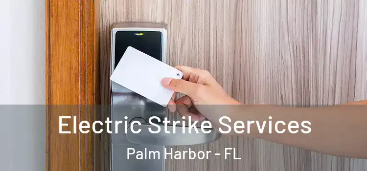 Electric Strike Services Palm Harbor - FL