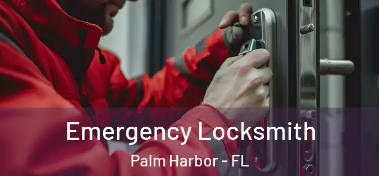 Emergency Locksmith Palm Harbor - FL