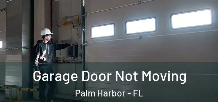  Garage Door Not Moving Palm Harbor - FL