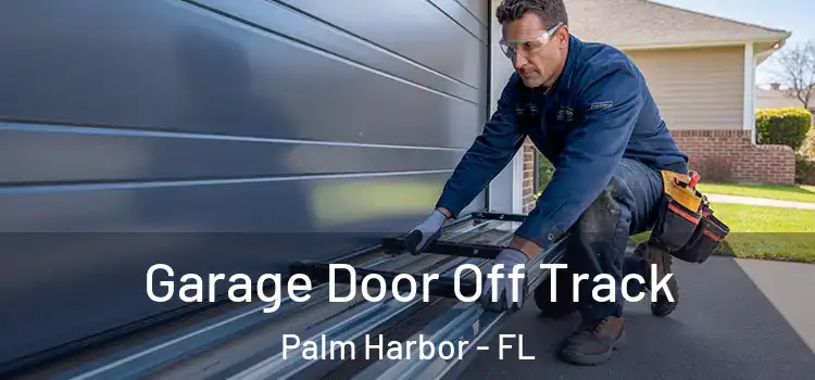  Garage Door Off Track Palm Harbor - FL