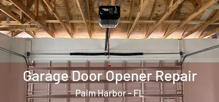  Garage Door Opener Repair Palm Harbor - FL