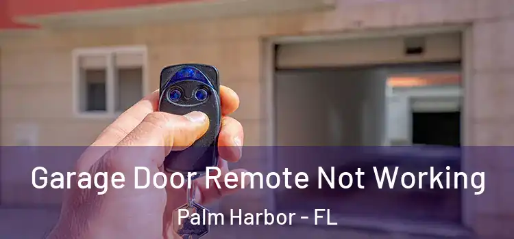 Garage Door Remote Not Working Palm Harbor - FL
