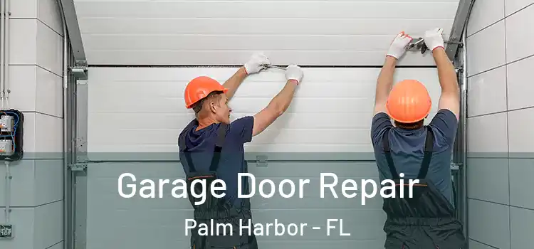  Garage Door Repair Palm Harbor - FL