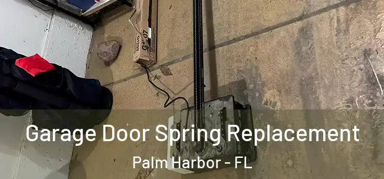  Garage Door Spring Replacement Palm Harbor - FL
