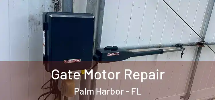 Gate Motor Repair Palm Harbor - FL