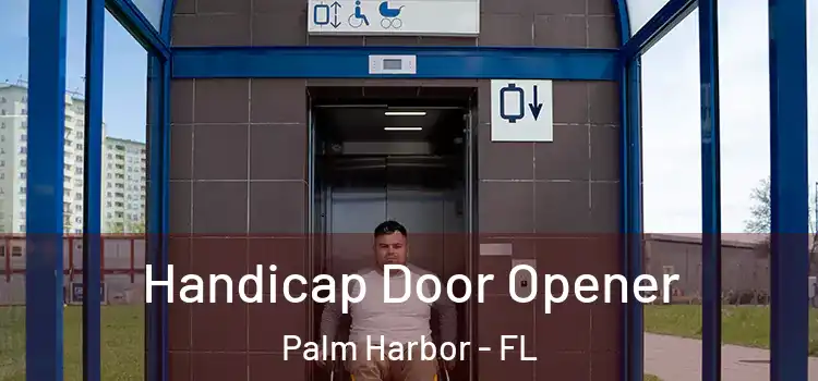Handicap Door Opener Palm Harbor - FL