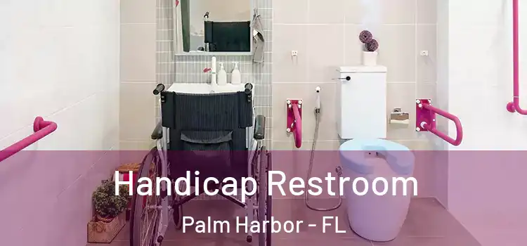 Handicap Restroom Palm Harbor - FL
