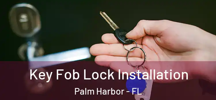 Key Fob Lock Installation Palm Harbor - FL