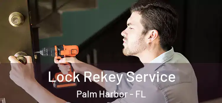 Lock Rekey Service Palm Harbor - FL