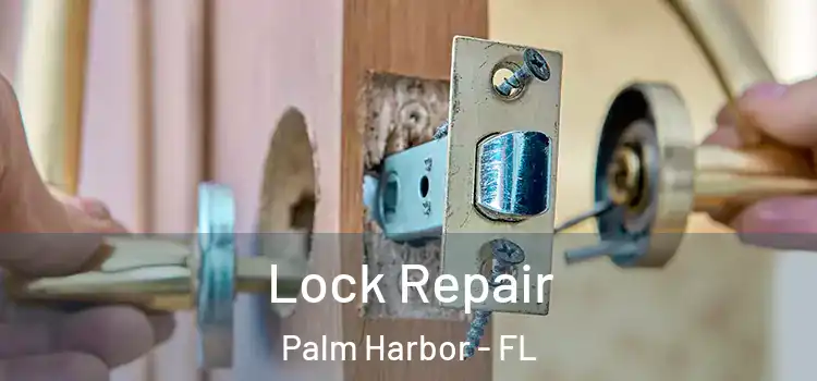Lock Repair Palm Harbor - FL