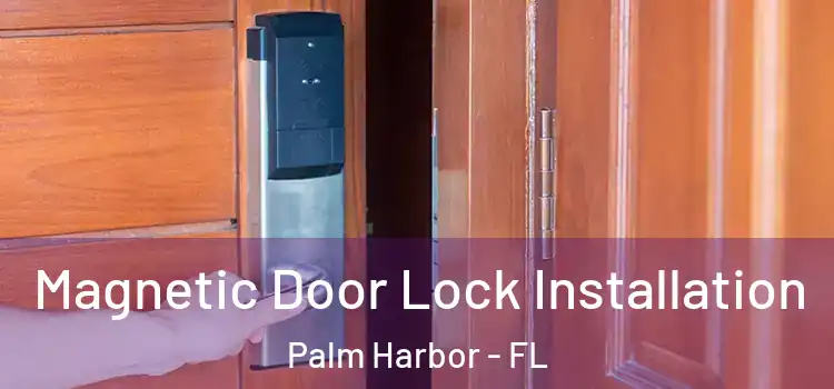 Magnetic Door Lock Installation Palm Harbor - FL