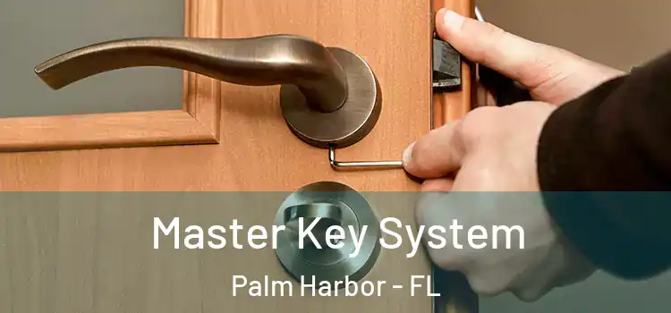 Master Key System Palm Harbor - FL