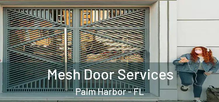 Mesh Door Services Palm Harbor - FL