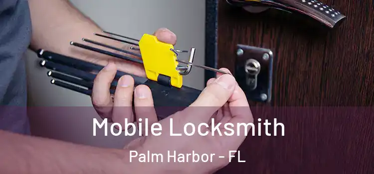 Mobile Locksmith Palm Harbor - FL
