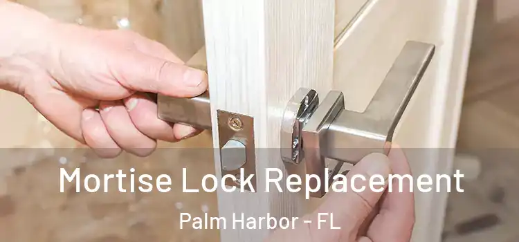 Mortise Lock Replacement Palm Harbor - FL