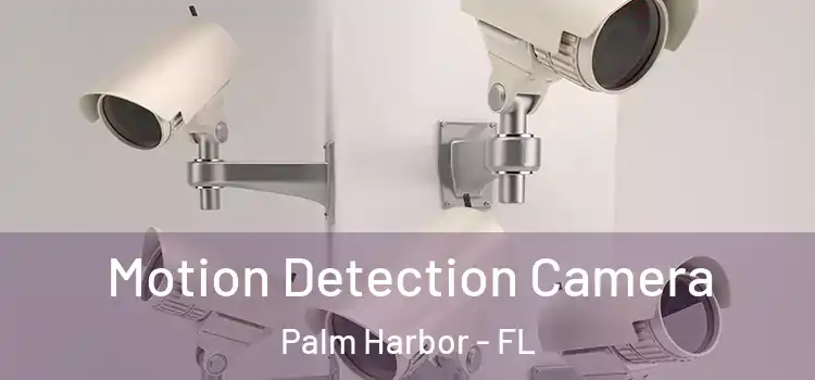  Motion Detection Camera Palm Harbor - FL