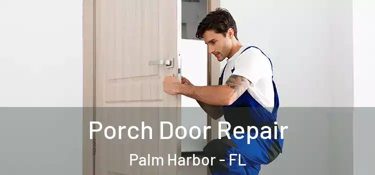  Porch Door Repair Palm Harbor - FL