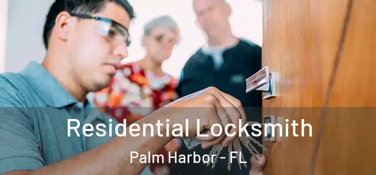 Residential Locksmith Palm Harbor - FL