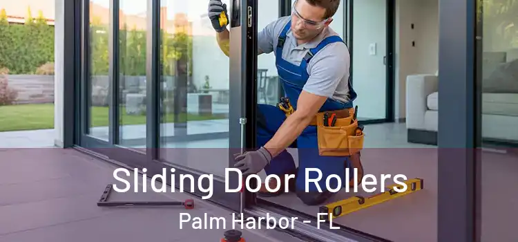 Sliding Door Rollers Palm Harbor - FL