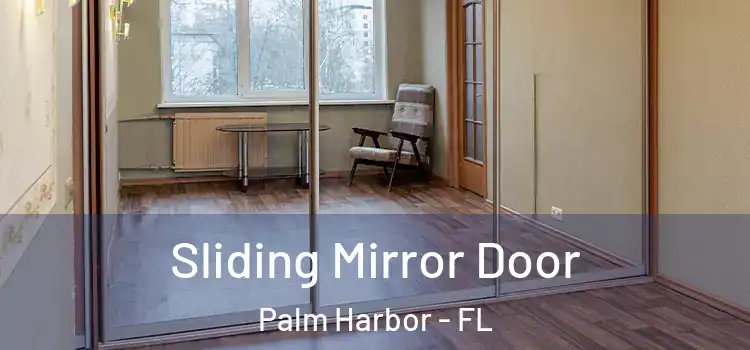  Sliding Mirror Door Palm Harbor - FL