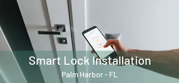 Smart Lock Installation Palm Harbor - FL