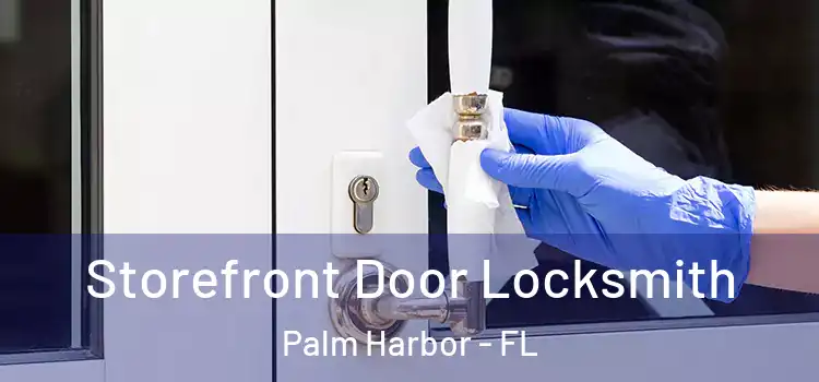 Storefront Door Locksmith Palm Harbor - FL