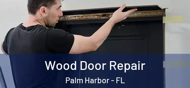 Wood Door Repair Palm Harbor - FL